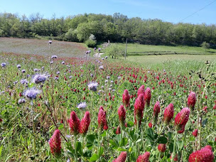 Photo n°3 de Bernard Fruits à Preignan (Épicerie)