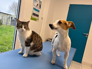 Photo n°6 de Clinique vétérinaire du Parc de Brière - Clinique VetBriere à Saint-André-des-Eaux (Clinique vétérinaire)