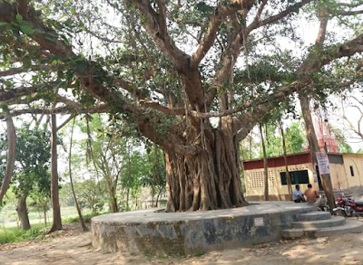Photos of Khyapa Babar Mondir