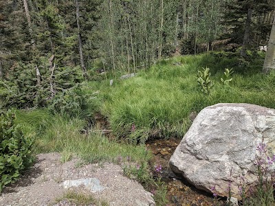 Aspen Basin Campground