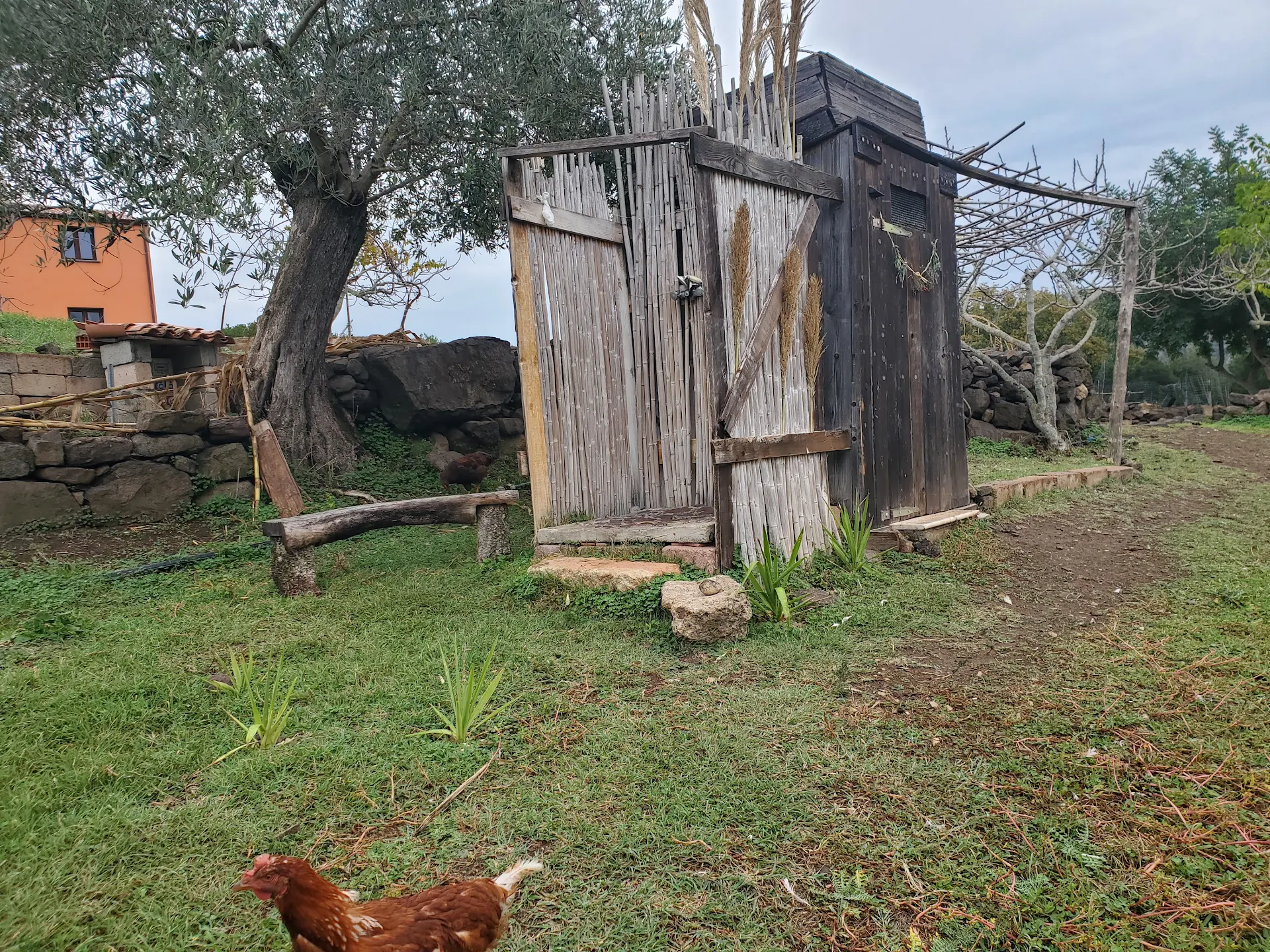 Mattagiana nature retreat