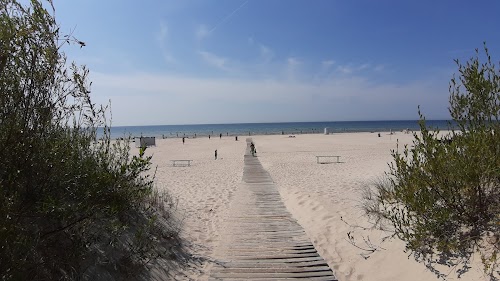 Liepājas jūrmalas parks