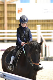 Photo n°14 de Les Legendes de L'West à Plouider (Centre équestre)