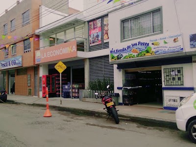 Photos of La Tienda De Los Peces