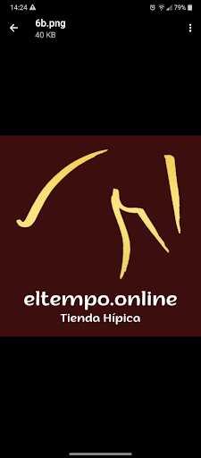 eltempo.online - Visual