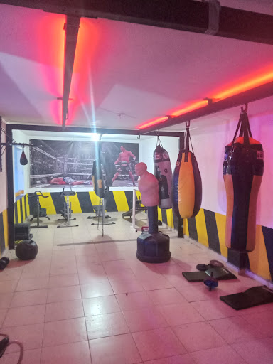 Mfitnessgym - Thumbnail