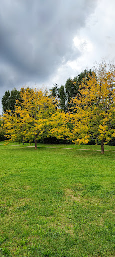 Elsa Rosi Nofri Park