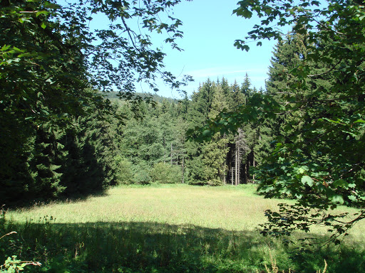 High Vogelsberg Nature Park