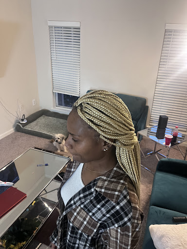 Aicha Hair Braiding Gallery - United States
