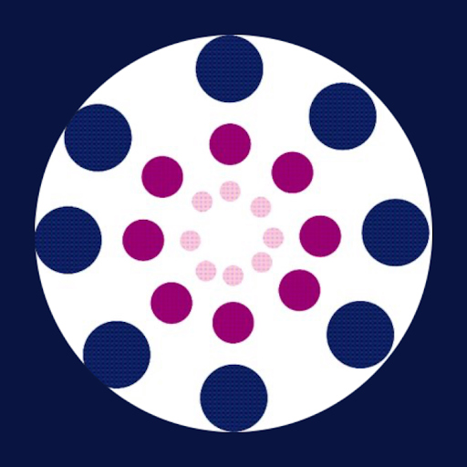 RISG Solutions - Visual