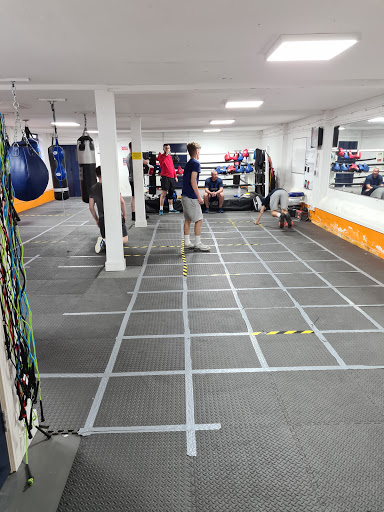 Luton Town Boxing Club - Thumbnail
