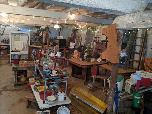 Salvage Sisters