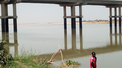Photos of River Benue Bank