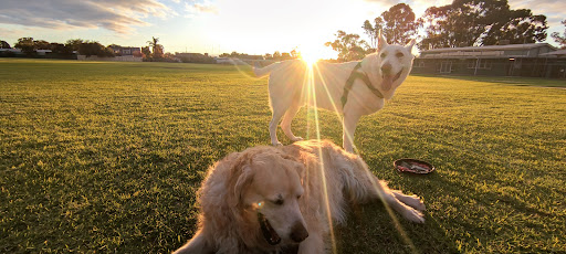 Port Pirie Golf Club Gallery - Australia
