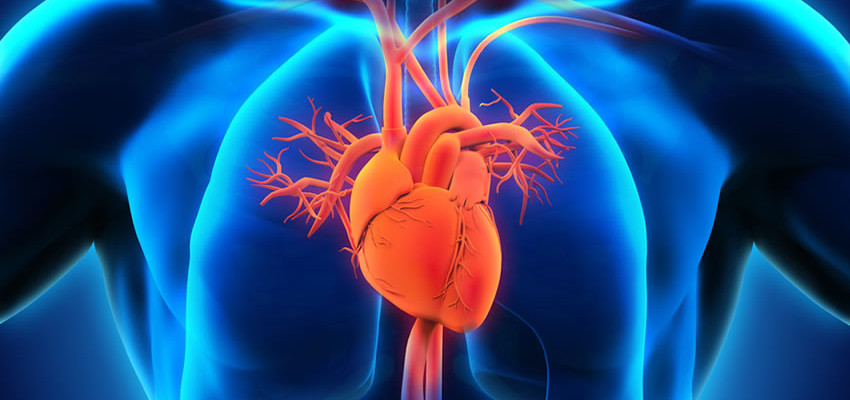 The Woodlands Heart Vascular Center