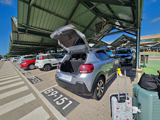 Poppy Cars - Thumbnail