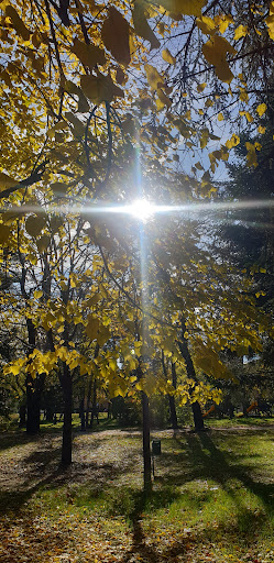 Giardini pubblici Libero Bigiaretti - Thumbnail