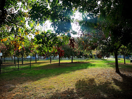 Plaça Copèrnic - Visual