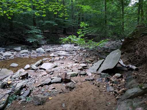 Donaldson Run Park Logo