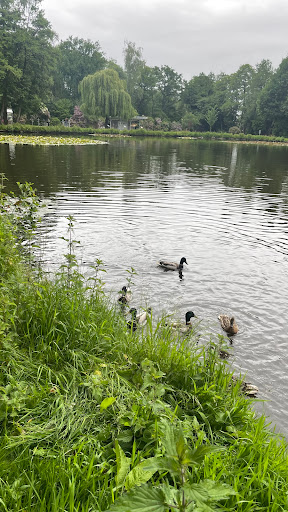 Friesoythe Park - Thumbnail