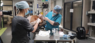 Photo n°25 de Clinique Vétérinaire Seinevet Boos à Boos (Urgences vétérinaires)