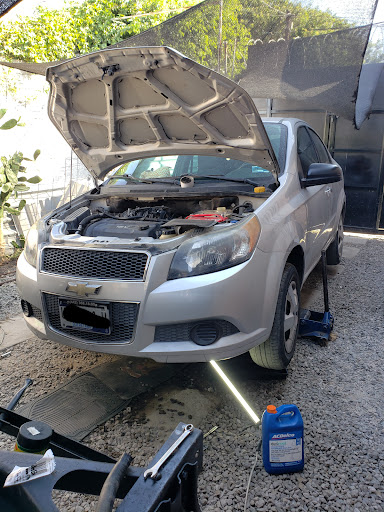 Joss Performance - Visual
