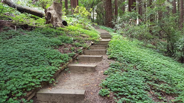 University of California Botanical Garden at Berkeley