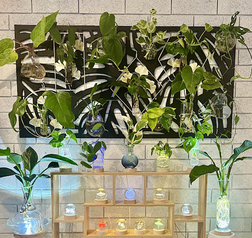 The Propagation Station - Thumbnail