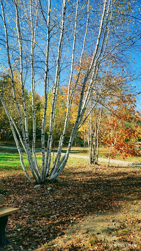 Grey Rocks Conservation Area - Thumbnail