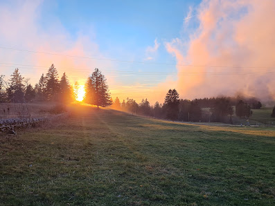 Photos du propriétaire