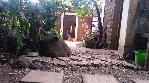 amAte centro de aprendizaje
