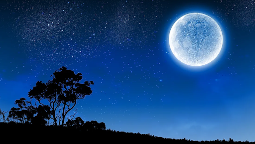 Blue Moon Esthetics