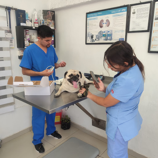 HAPPY ANIMALS VETERINARY