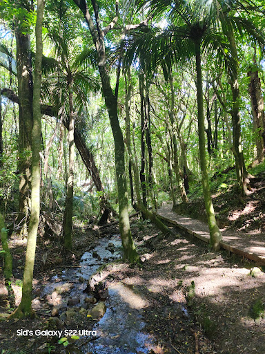 Hemi Matenga Memorial Park - Thumbnail