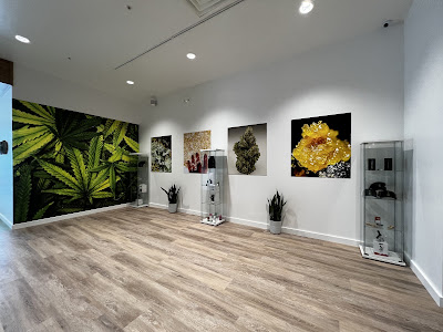 Photo of Sanctuary Cannabis Delray Beach