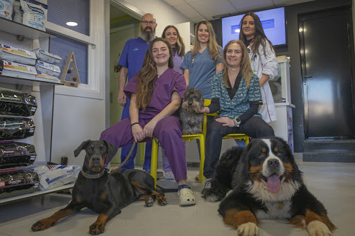 Clínica Veterinaria La Vega Veterinario 24 horas Salamanca