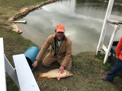 Tnt Catfish Lakes