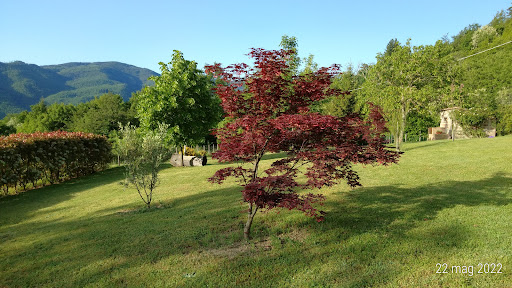 San Pancrazio - Visual