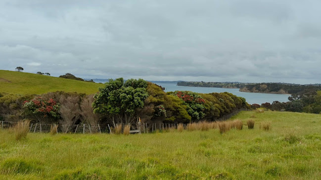 Reviews of Shakespear Regional Park in Auckland - Other