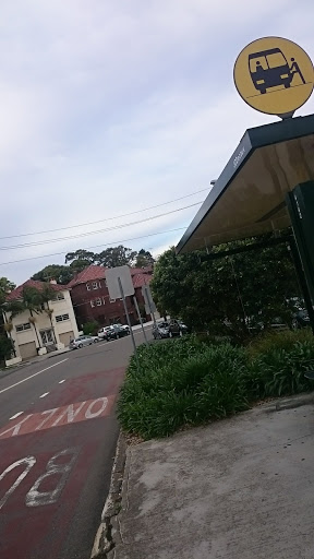 Clovelly Rd at Carrington Rd - Thumbnail