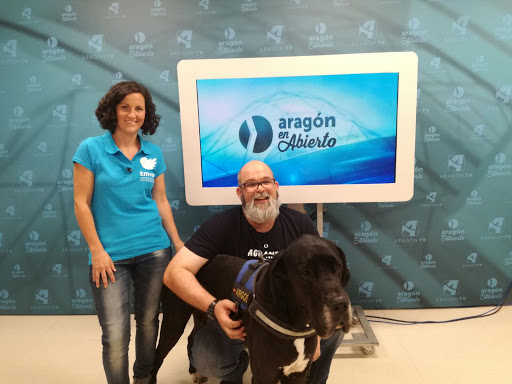 AniCura Emvet Emergencias Veterinarias de Zaragoza