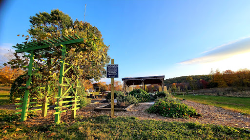 Ellington Recreation Department - Thumbnail
