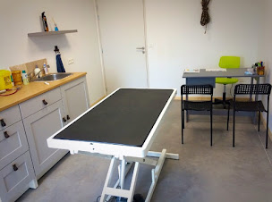 Photo n°4 de Clinique vétérinaire Saint Jean à Générac (Clinique vétérinaire)