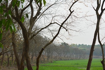 Photos of Switzerland, Jahangirnagar University