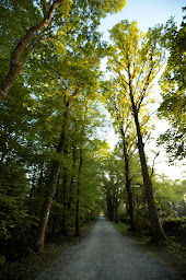 Photo n°66 de Chateau Saint Martin à Pouillon (Séminaire)