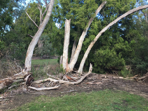 Franciscan Reserve - Thumbnail