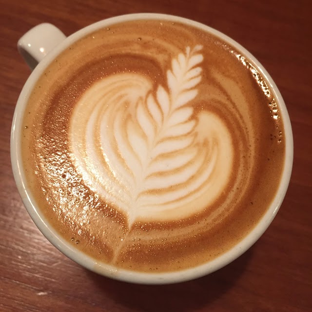 Odd Fox Coffee