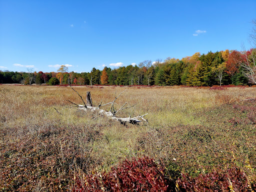 Beaver Run Pond Wildlife Viewing Area Parking Gallery - United States
