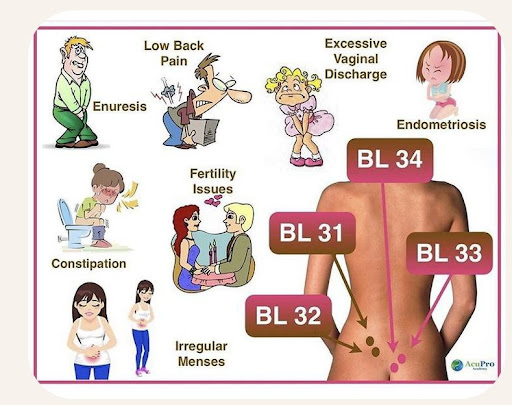 Unlocking Healing Through the Lower Back: Acupuncture Insights post image