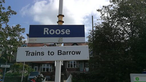 Roose - Thumbnail